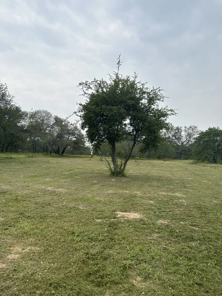 Professional landscaping services in Somerset, TX - Cruz Outdoors services