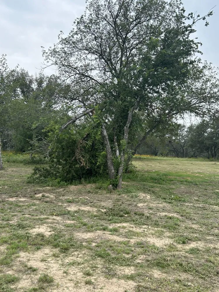 Professional lawn mowing service for outdoor upgrades in Somerset, TX by Cruz Outdoors services