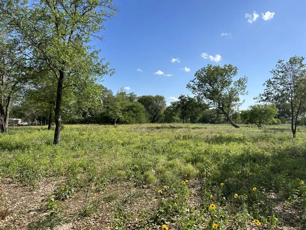 Local residential landscaping experts serving Somerset, TX - Cruz Outdoors services