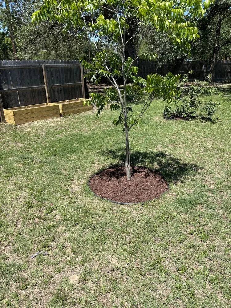 Professional yard cleanup service experts serving Somerset, TX - Cruz Outdoors services