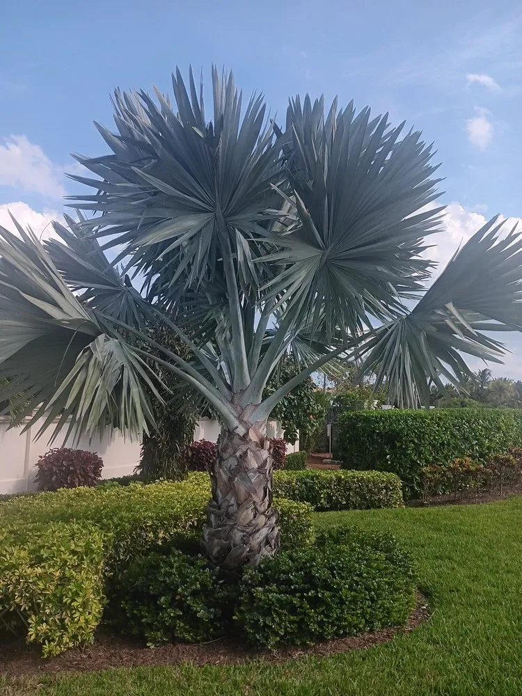 Custom residential landscaping in Fort Pierce, FL by Cruz Robles Service