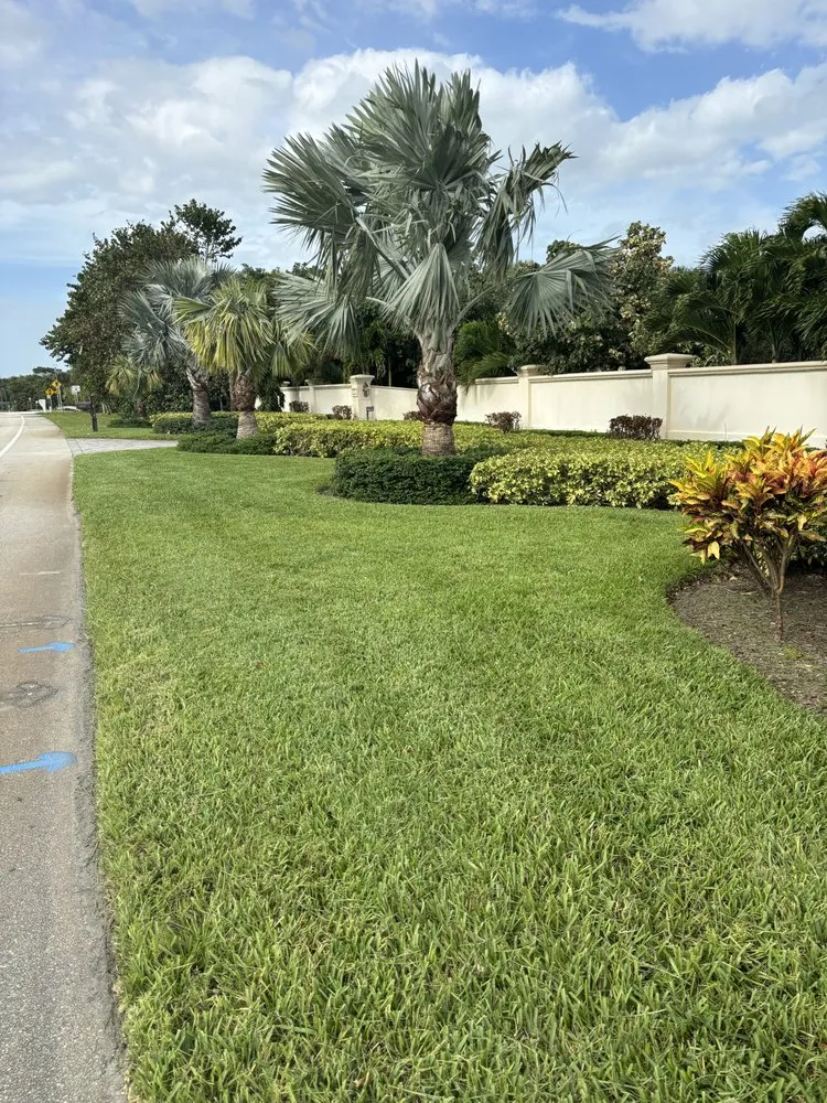 Reliable landscaping services for beautiful yards across Fort Pierce, FL - Cruz Robles Service
