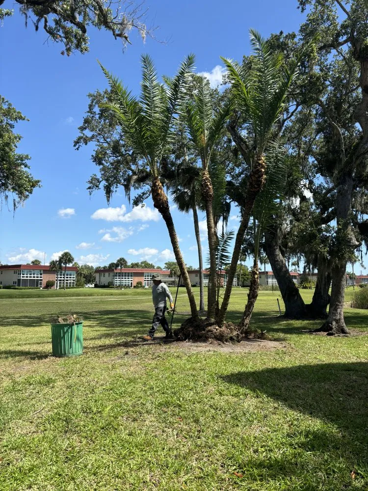 Trusted landscaping services experts serving Fort Pierce, FL - Cruz Robles Service