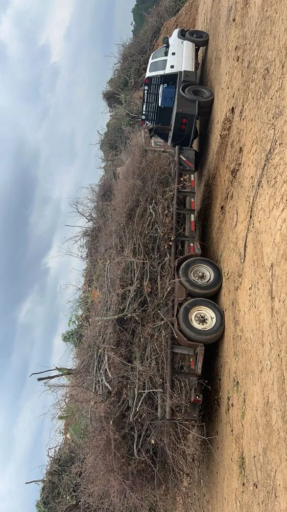 Top-rated residential landscaping experts serving Longview, TX - Cruz Rodriguez Tree Service