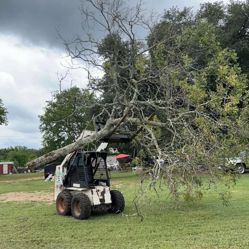 Trusted landscape installation in Longview, TX - Cruz Rodriguez Tree Service
