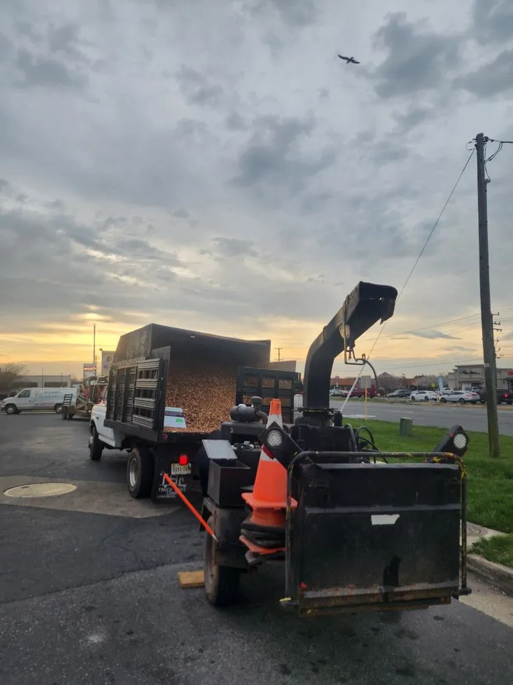 Local landscape design for year-round maintenance across Culpeper, VA - Cruz Tree & Landscaping