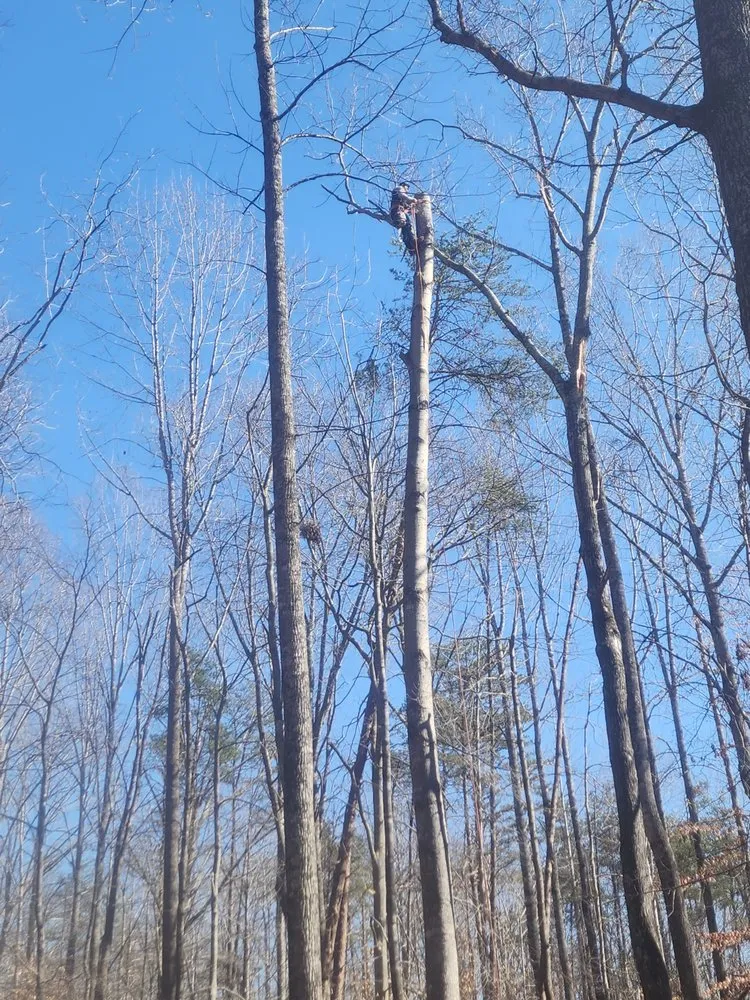 Affordable lawn care service for homes across Culpeper, VA - Cruz Tree & Landscaping