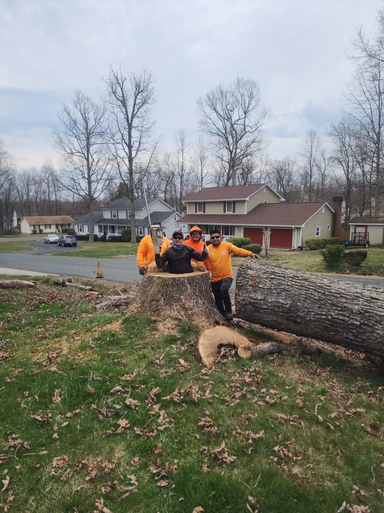 Top-rated landscape installation in Culpeper, VA - Cruz Tree & Landscaping