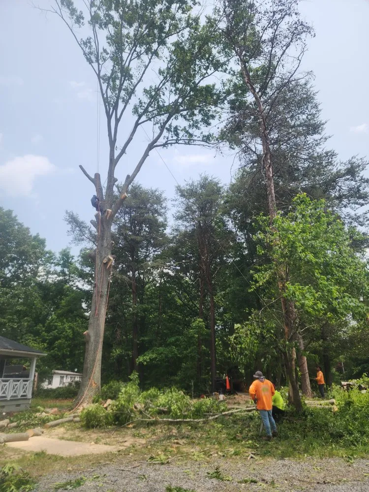 Affordable landscape installation for homes in Culpeper, VA by Cruz Tree & Landscaping