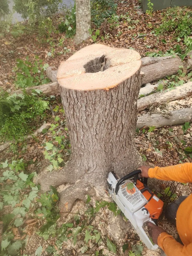 Reliable garden landscaping experts serving Culpeper, VA - Cruz Tree & Landscaping