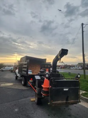 Cruz Tree & Landscaping Logo