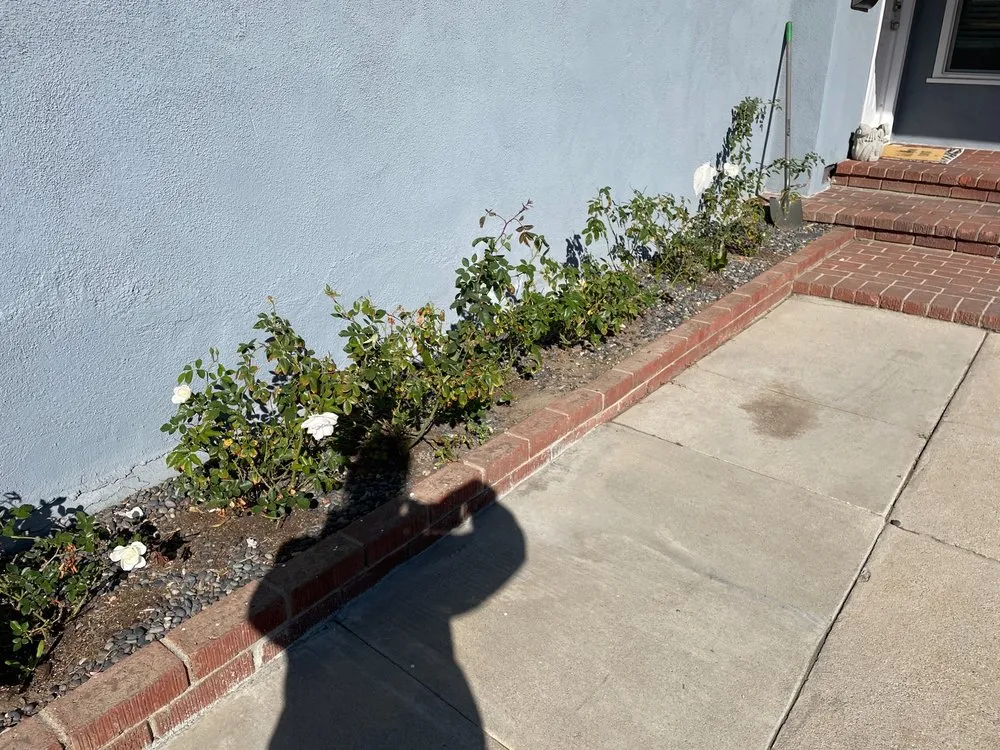 Top-rated residential landscaping experts serving San Fernando Valley, CA - Cruz Tree Service & Landscaping