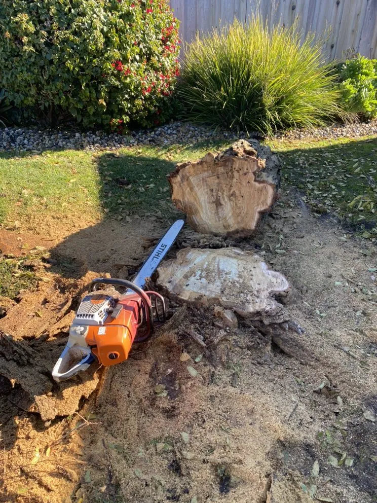 Trusted landscape installation in San Fernando Valley, CA - Cruz Tree Service & Landscaping