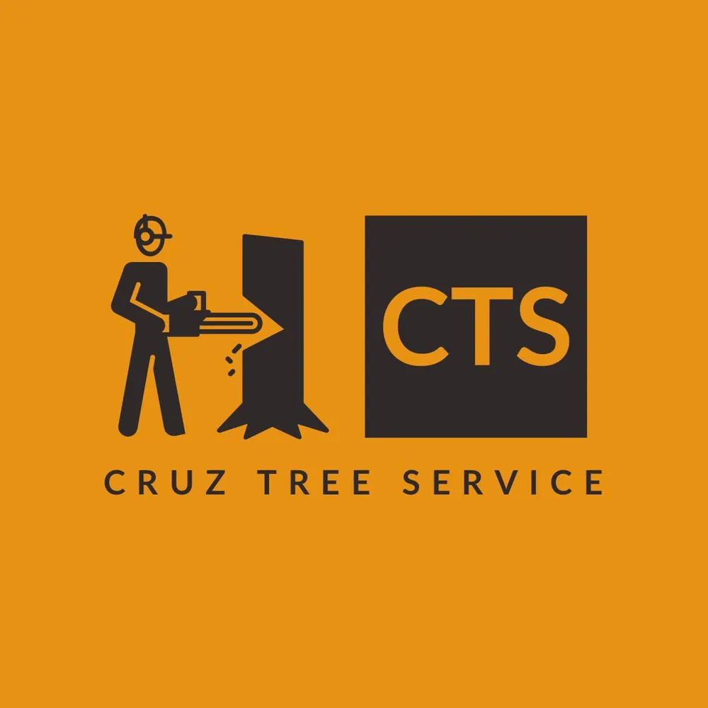 Trusted yard cleanup service for residential properties in San Fernando Valley, CA by Cruz Tree Service & Landscaping