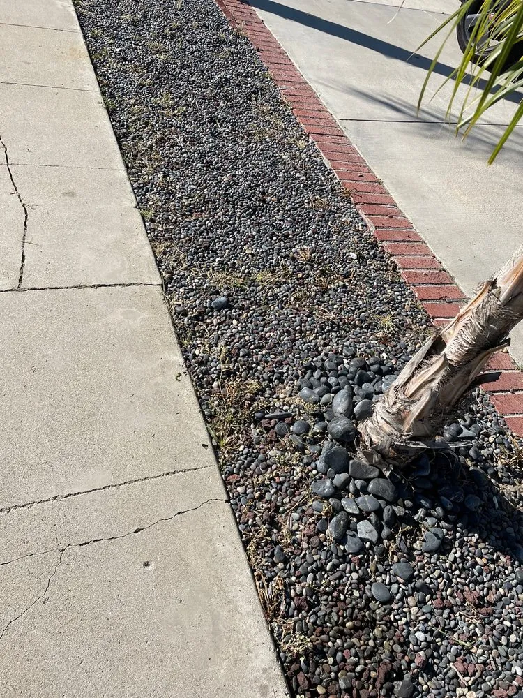 Reliable yard maintenance in San Fernando Valley, CA - Cruz Tree Service & Landscaping