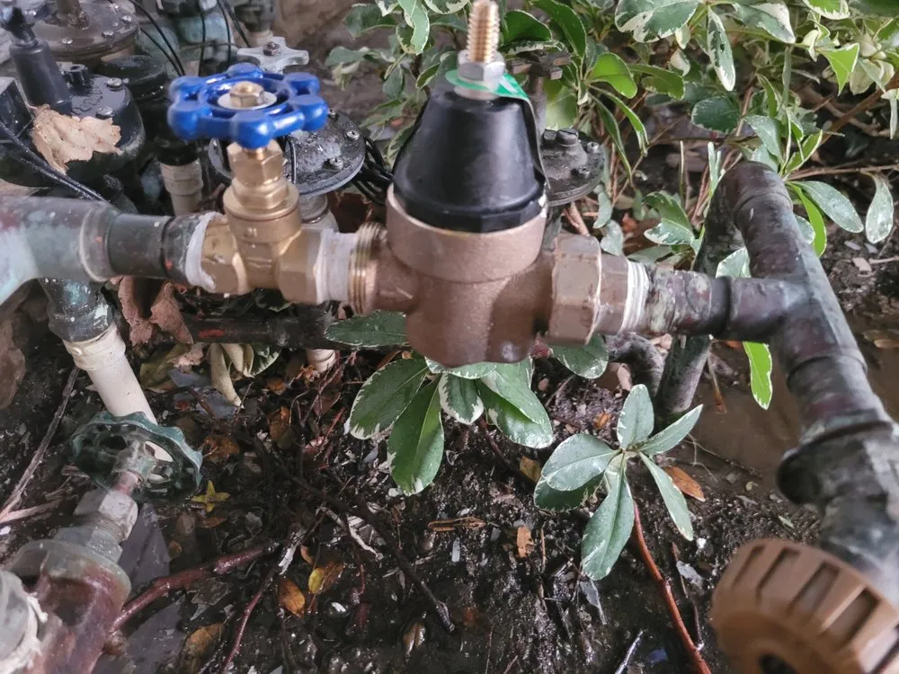 Trusted landscape design experts serving San Fernando Valley, CA - Cruz Tree Service & Landscaping