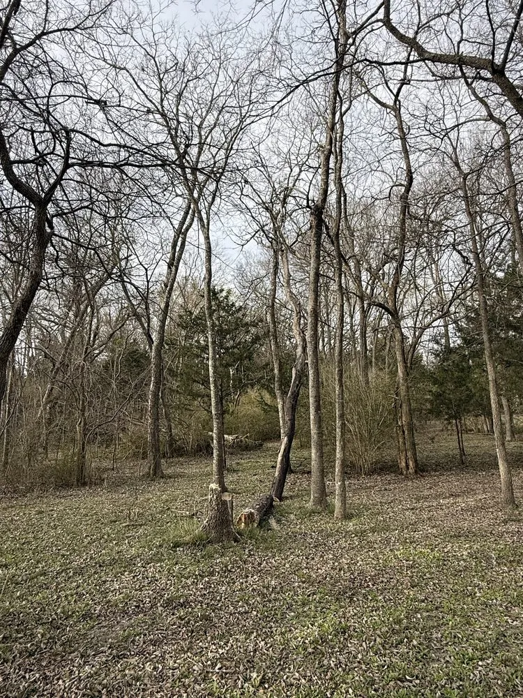 Affordable residential landscaping near you in Dallas, TX by Cruz Tree Services