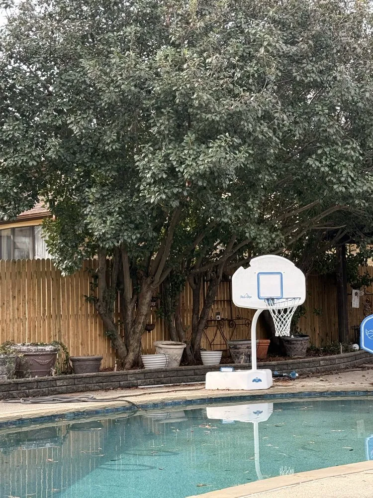 Trusted lawn mowing service experts serving Dallas, TX - Cruz Tree Services