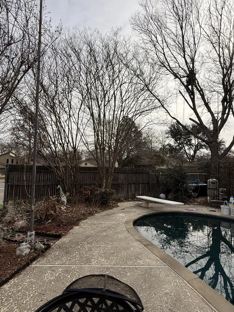 Expert landscaping services in Dallas, TX by Cruz Tree Services