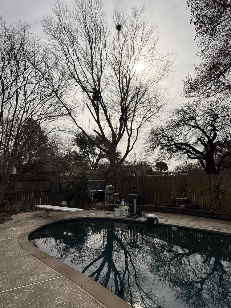 Trusted residential landscaping experts serving Dallas, TX - Cruz Tree Services
