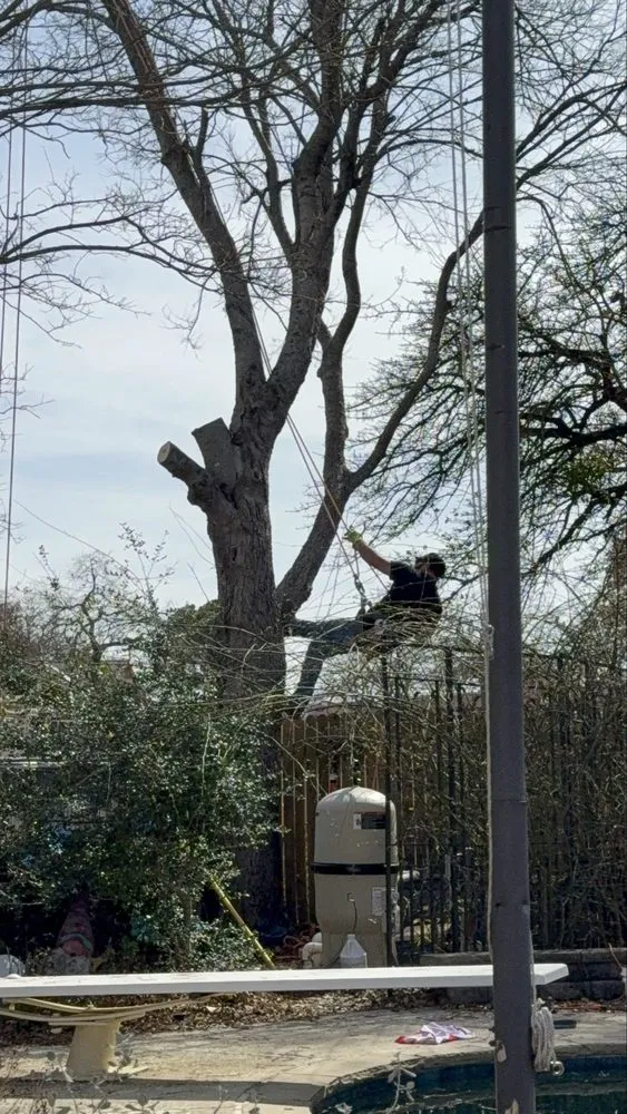 Affordable garden landscaping for homes across Dallas, TX - Cruz Tree Services