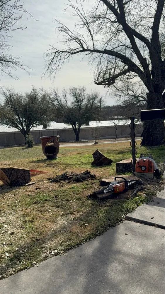 Trusted lawn mowing service experts serving Dallas, TX - Cruz Tree Services