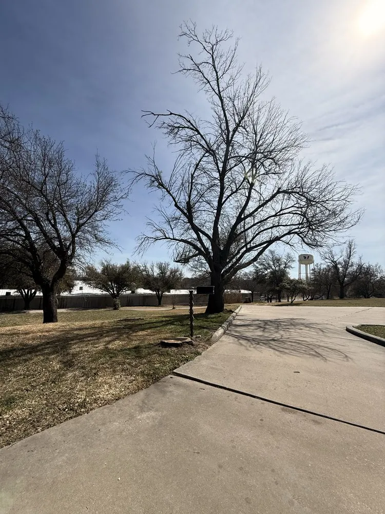 Custom residential landscaping in Dallas, TX - Cruz Tree Services