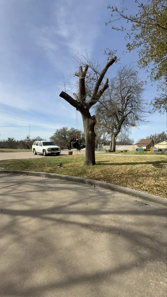 Custom garden landscaping experts serving Dallas, TX - Cruz Tree Services