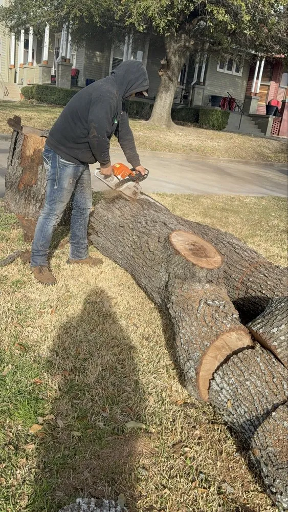 Top-rated yard maintenance for beautiful yards across Dallas, TX - Cruz Tree Services