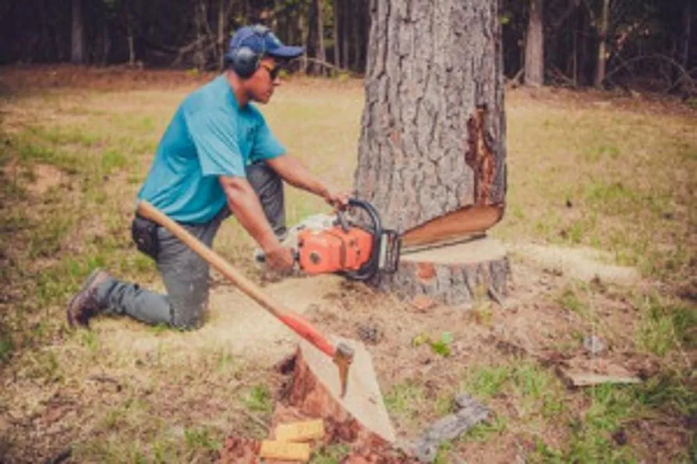 Reliable yard cleanup service in Fort Valley, GA - Cruz Tree Solutions and More