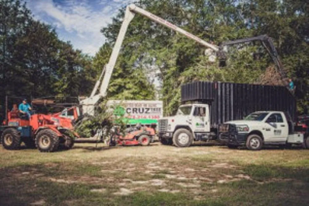 Reliable landscape installation near you in Fort Valley, GA by Cruz Tree Solutions and More
