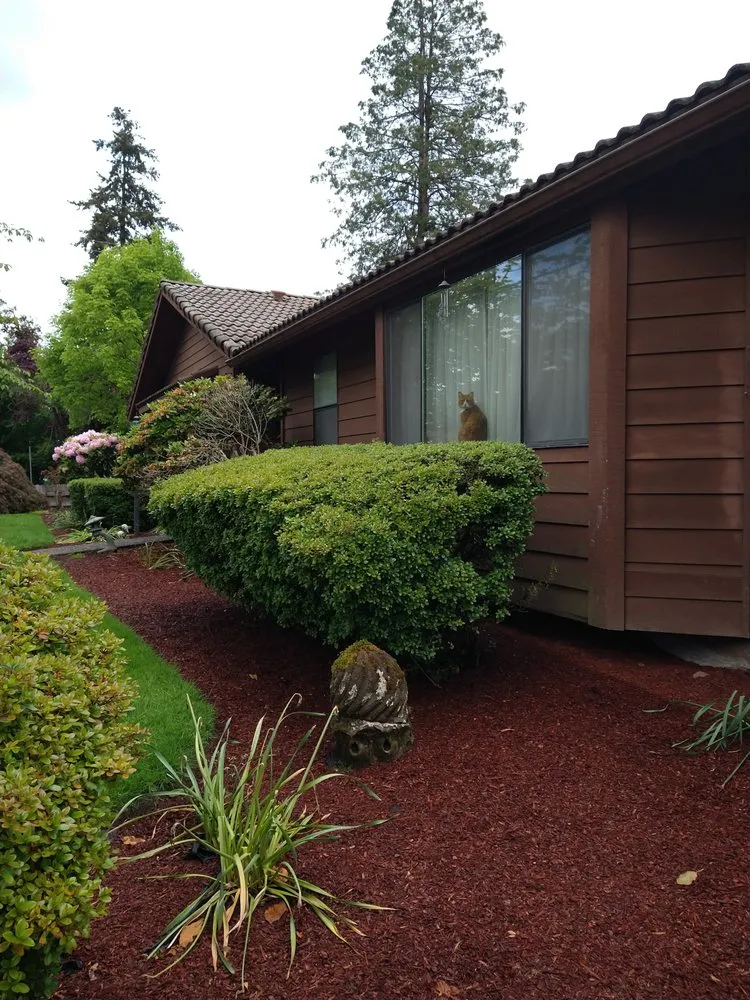 Custom yard maintenance in Salem, OR - Cruz Urbina Landscapes