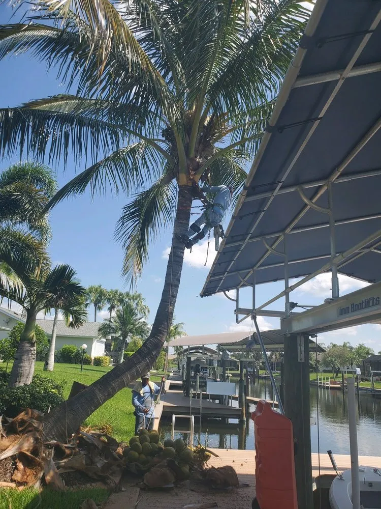 Affordable residential landscaping in Naples, FL - Cruz Ventura Pavers & Landscaping