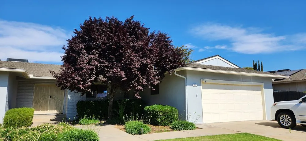 Expert landscaping services with custom design across Fresno, CA - Cruz Yard Maintenance