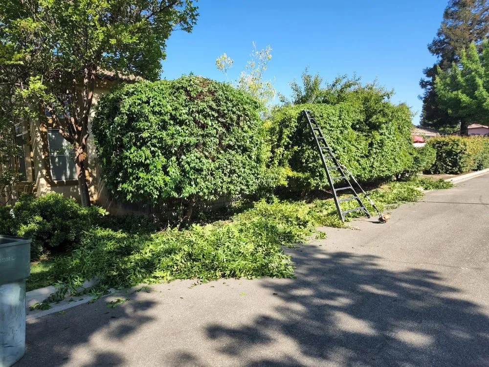Top-rated outdoor landscaping in Fresno, CA - Cruz Yard Maintenance