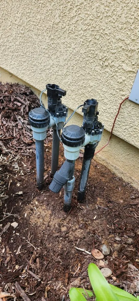 Professional landscaping services in Fresno, CA by Cruz Yard Maintenance