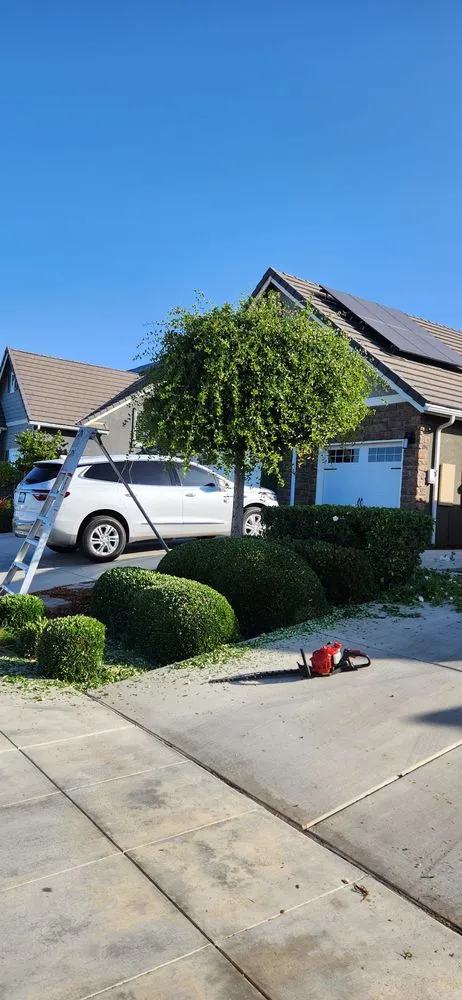 Top-rated outdoor landscaping for residential properties across Fresno, CA - Cruz Yard Maintenance