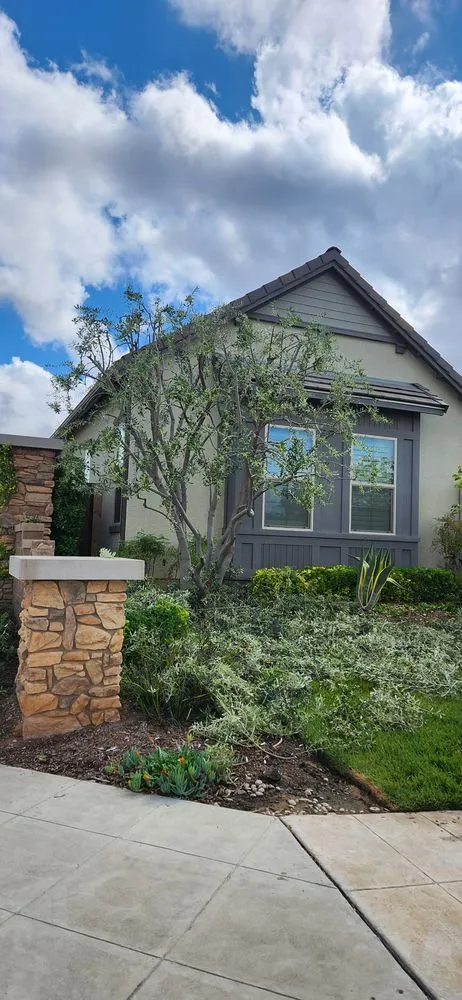 Professional yard cleanup service experts serving Fresno, CA - Cruz Yard Maintenance