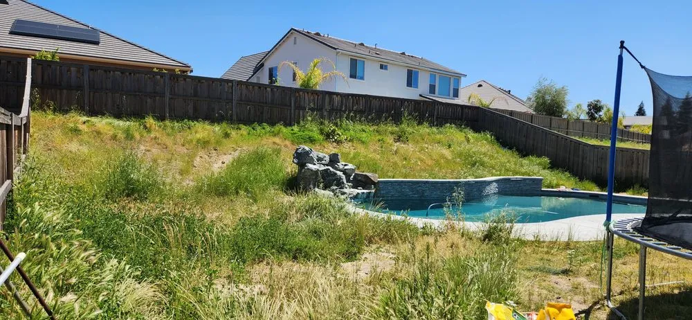 Reliable lawn care service in Fresno, CA by Cruz Yard Maintenance