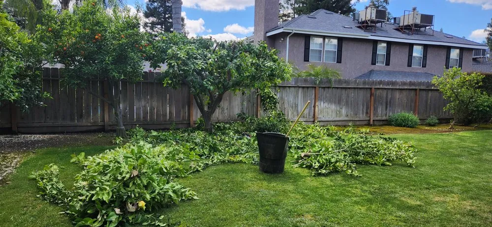 Custom lawn mowing service in Fresno, CA - Cruz Yard Maintenance