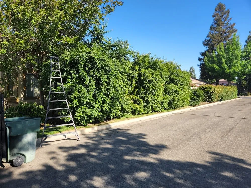 Trusted residential landscaping in Fresno, CA - Cruz Yard Maintenance