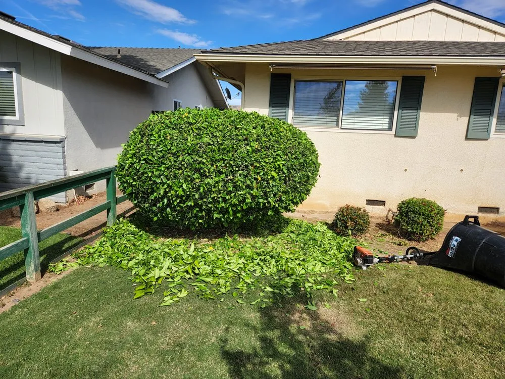 Custom lawn care service in Fresno, CA by Cruz Yard Maintenance