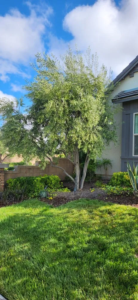 Trusted garden landscaping for residential properties in Fresno, CA by Cruz Yard Maintenance