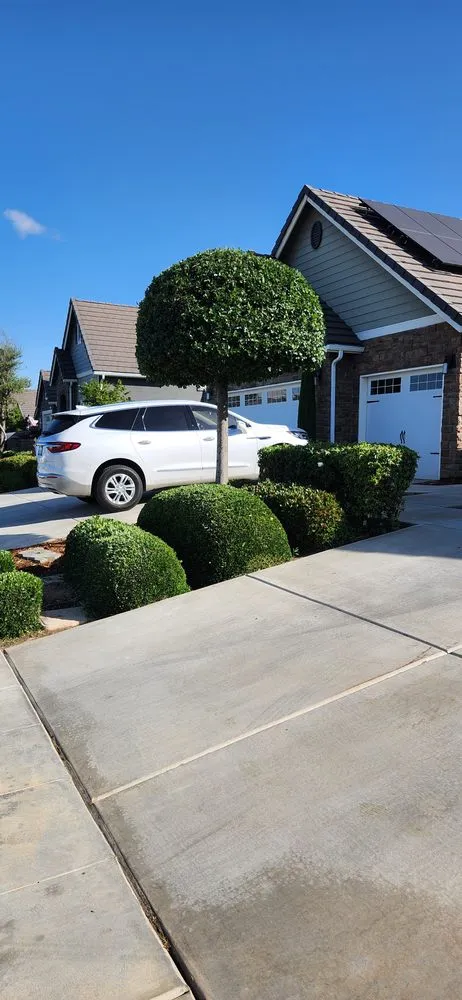 Custom lawn mowing service in Fresno, CA by Cruz Yard Maintenance