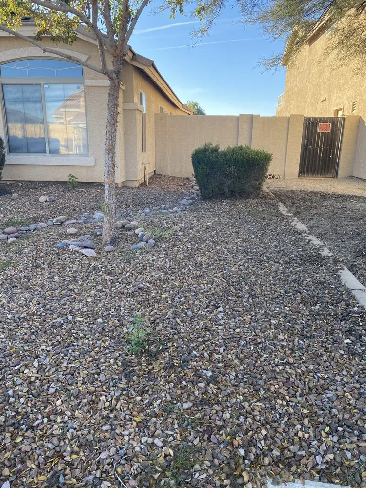 Expert landscape installation in Chandler, AZ by Cruz’s Landscaping