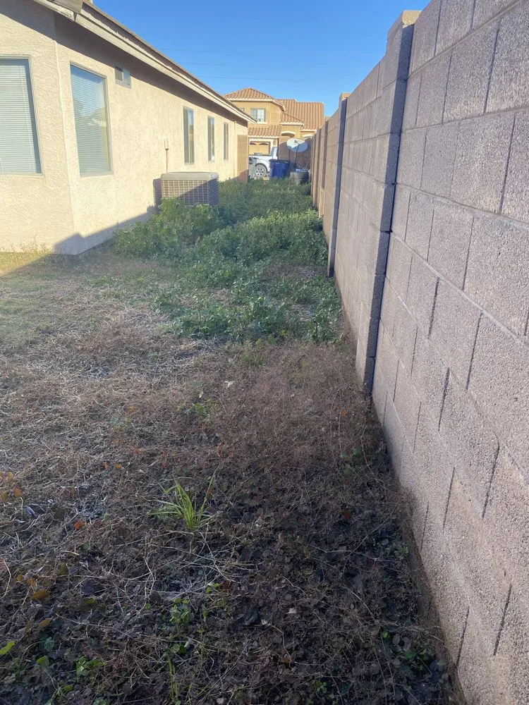 Top-rated yard maintenance for year-round maintenance in Chandler, AZ by Cruz’s Landscaping