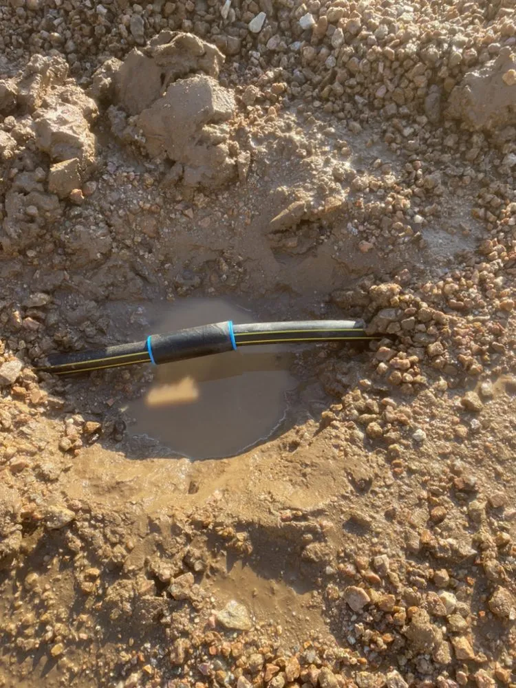 Trusted landscape design for year-round maintenance across Chandler, AZ - Cruz’s Landscaping