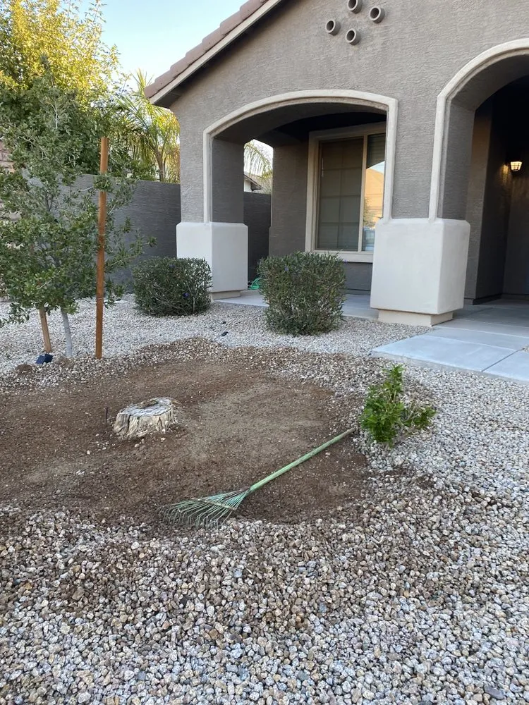 Local yard maintenance in Chandler, AZ - Cruz’s Landscaping