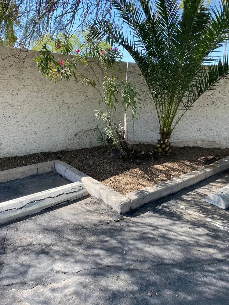 Custom lawn care service for year-round maintenance across Chandler, AZ - Cruz’s Landscaping