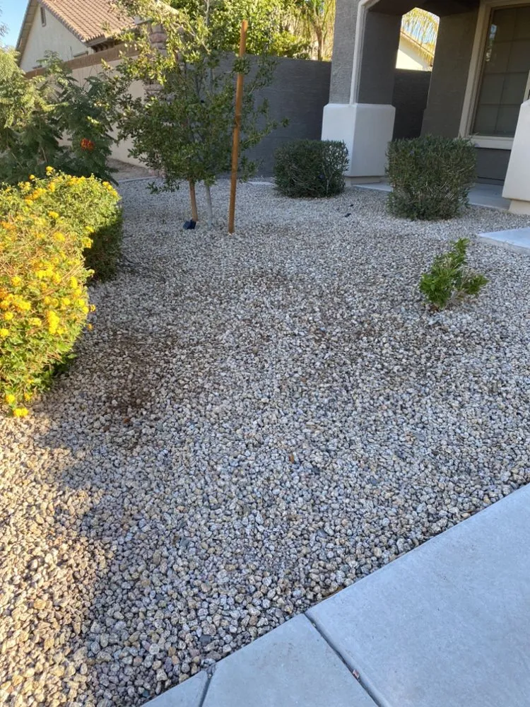 Professional yard cleanup service for homes across Chandler, AZ - Cruz’s Landscaping